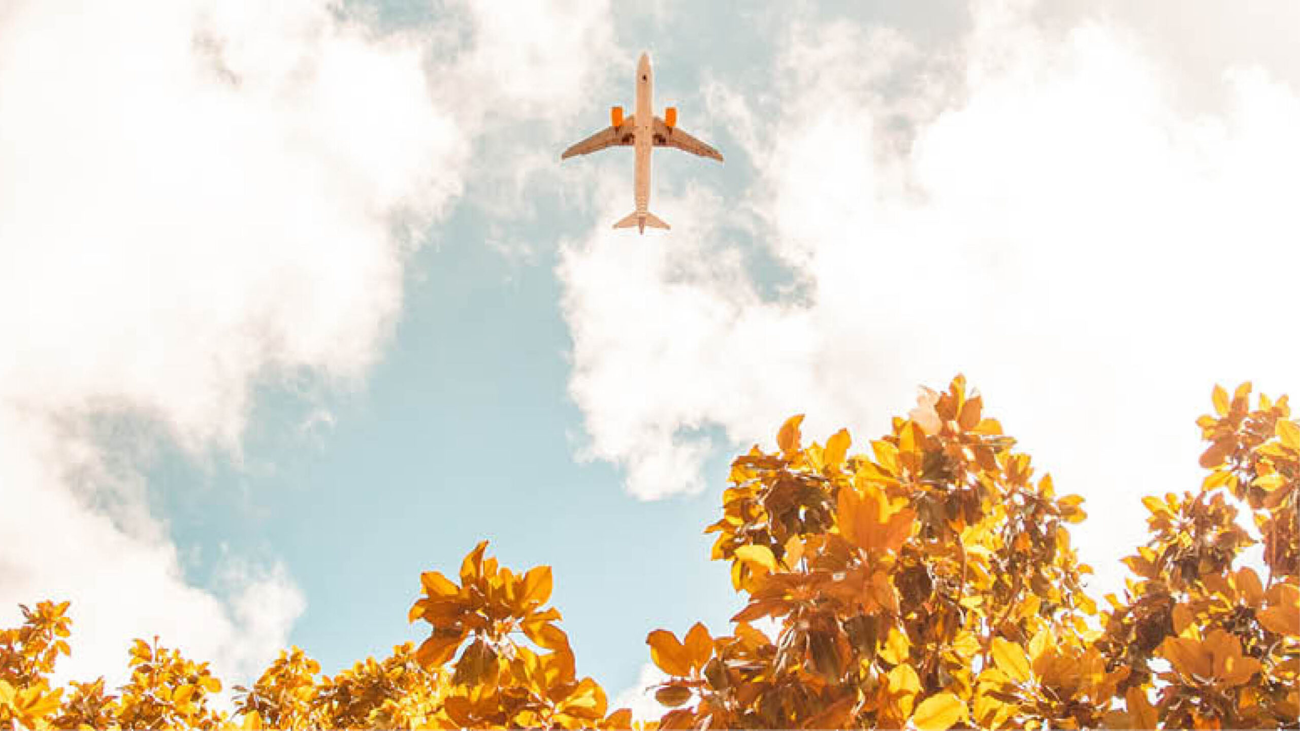 plane overhead